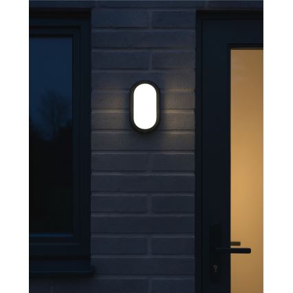 LED-Außen-Deckenleuchte LED/8W/230V 4200K IP64 schwarz