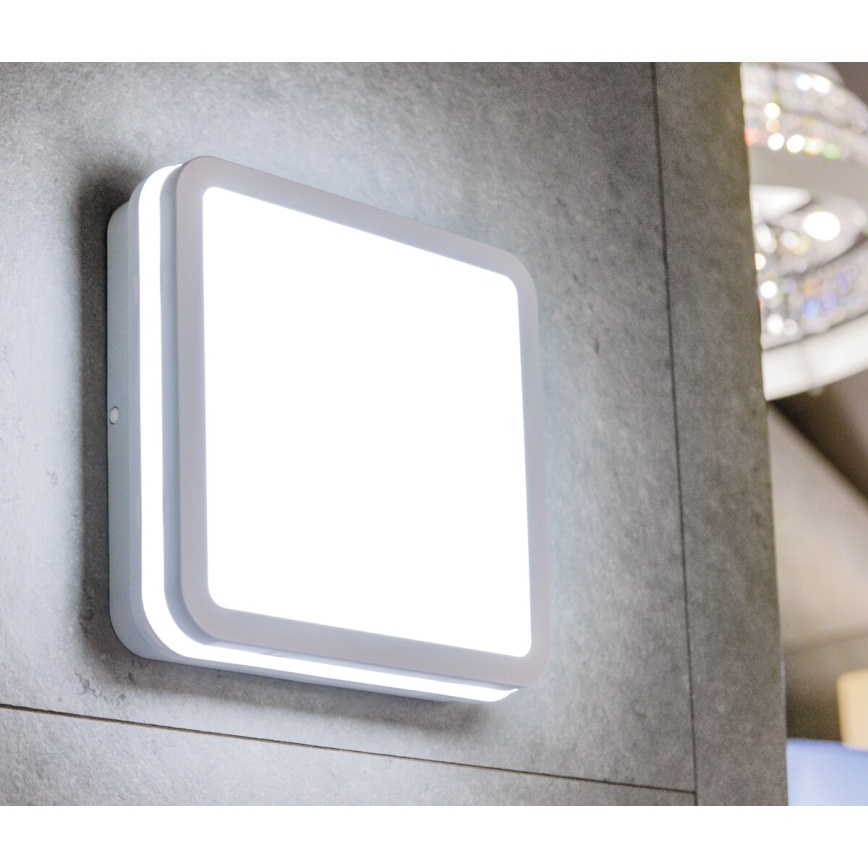 LED Außen-Deckenleuchte mit Sensor BENO LED/18W/230V IP54