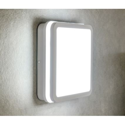 LED Außen-Deckenleuchte mit Sensor BENO LED/18W/230V IP54