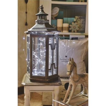 LED-Außen-Lichterkette 40xLED/9m IP44 kaltweiß