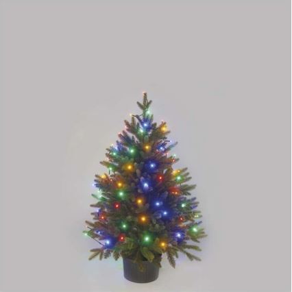 LED-Außen-Lichterkette 80 LEDs / 13 m, IP44, mehrfarbig