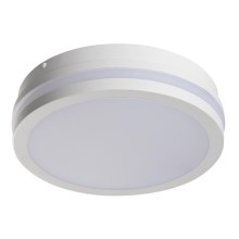 LED-Außendeckenleuchte BENO LED/18W/230V IP54