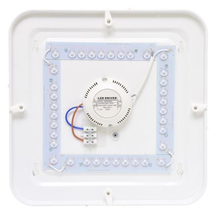 LED Außendeckenleuchte LUKA LED/42W/230V IP44