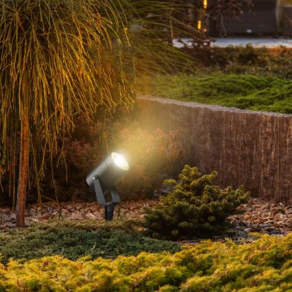 LED Außenleuchte LED/10W/230V 4000K IP65