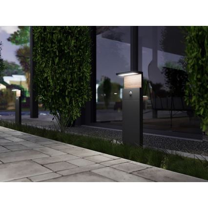 LED-Außenleuchte mit Sensor NATURA LED/12W/230V 4000K IP54 braun/anthrazit