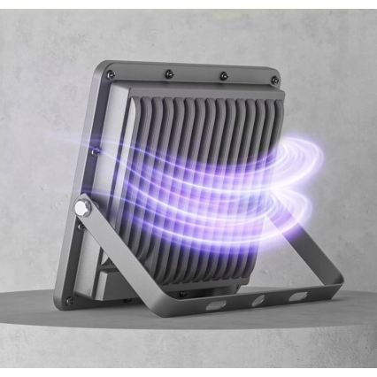 LED-Außenstrahler 50 W, 230 V, 4500 K, IP65, grau