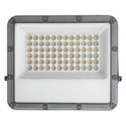LED-Außenstrahler 50 W, 230 V, 4500 K, IP65, grau