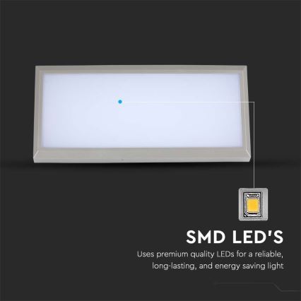 LED Außenwandleuchte LED/20W/230V 6400K IP65 grau