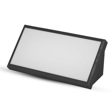 LED Außenwandleuchte LED/20W/230V 6400K IP65 schwarz