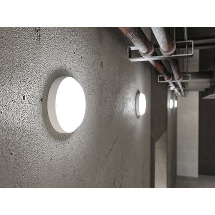 LED-Außenwandleuchte 9W/230V IP54 weiß