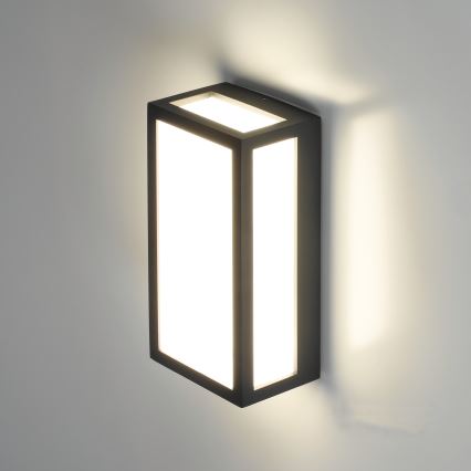 LED-Außenwandleuchte ENTERA LED/10W/230V 4000K IP54