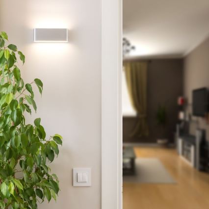 LED Außenwandleuchte LED/12W/230V 4000K IP65