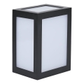 LED-Außenwandleuchte LED/12W/230V 4000K IP65 schwarz