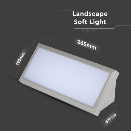 LED Außenwandleuchte LED/12W/230V 6400K IP65 grau