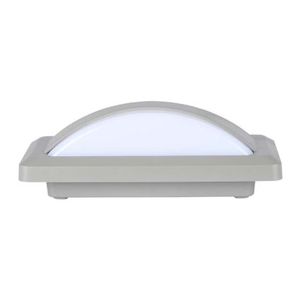 LED Außenwandleuchte LED/12W/230V 6400K IP65