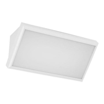 LED Außenwandleuchte LED/12W/230V 6400K IP65 Weiß