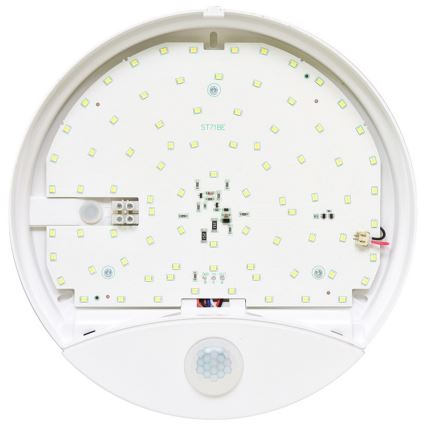 LED Außenwandleuchte mit Sensor LORA LED/15W/230V IP44