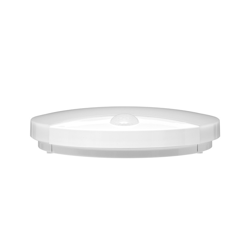 LED Außenwandleuchte mit Sensor LORA LED/15W/230V IP44