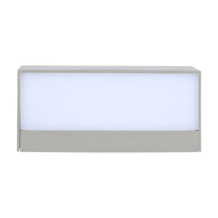 LED Auβen-Wandbeleuchtung LED/12W/230V 6400K IP65