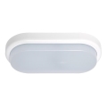 LED Auβen-Wandbeleuchtung OVAL LED/18W/230V IP54