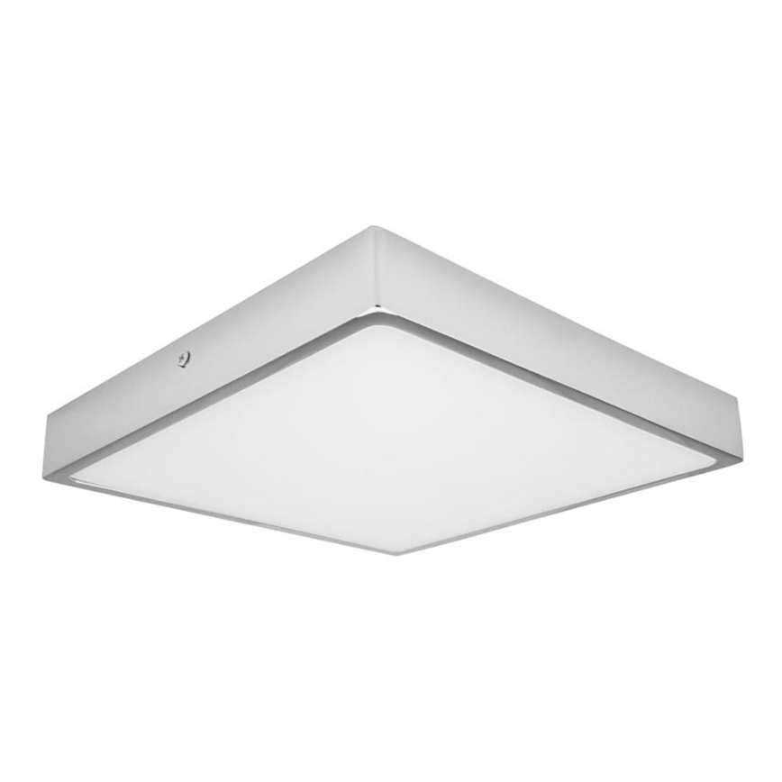 LED Bad-Deckenleuchte  EGON LED/30W/230V IP44 4000K