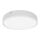 LED-Badezimmer-Deckenleuchte EGON LED/30W/230V IP44 3000K