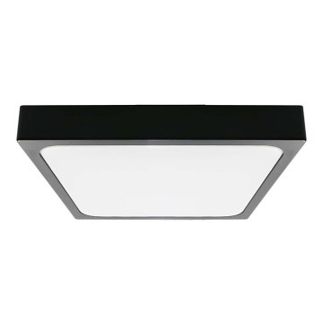 LED Badezimmer-Deckenleuchte LED/30W/230V 6500K IP44 42x42 cm schwarz