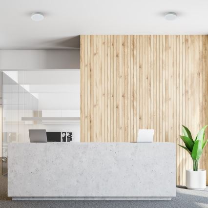 LED-Badezimmer-Deckenleuchte MARLON LED/12W/230V Ø 18 cm IP54 weiß