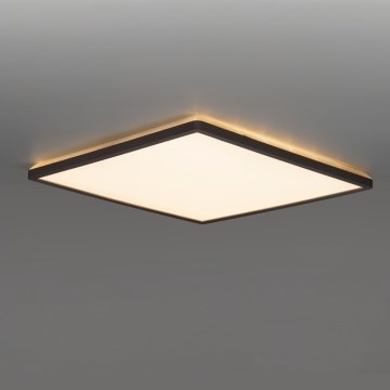 LED Badezimmer-Deckenleuchte NIVERA LED/12W/230V IP54 3000/4000/6000K 22,5x22,5 cm schwarz