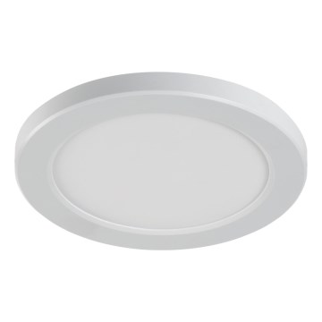 LED Decken/Einbauleuchte 2-in-1 ERGA LED/17W/230V 3000/4000/6500K weiß