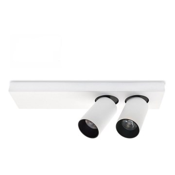 LED Decken-Spotlight BERGEN 2xLED/11W/230V