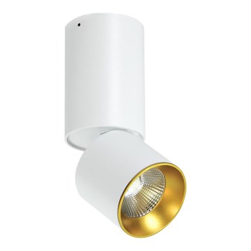 LED Decken-Spotlight LED/10W/230V