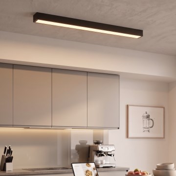 LED Deckenaufbauleuchte/Seilpendelleuchte LED/44W/230V 3000K 120 cm schwarz
