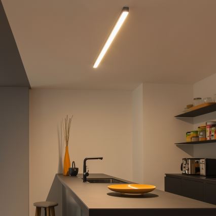 LED-Deckenleuchte ALLDAY BASIC LED/20/30/40W/230V 2700/4000/6000K 120 cm schwarz