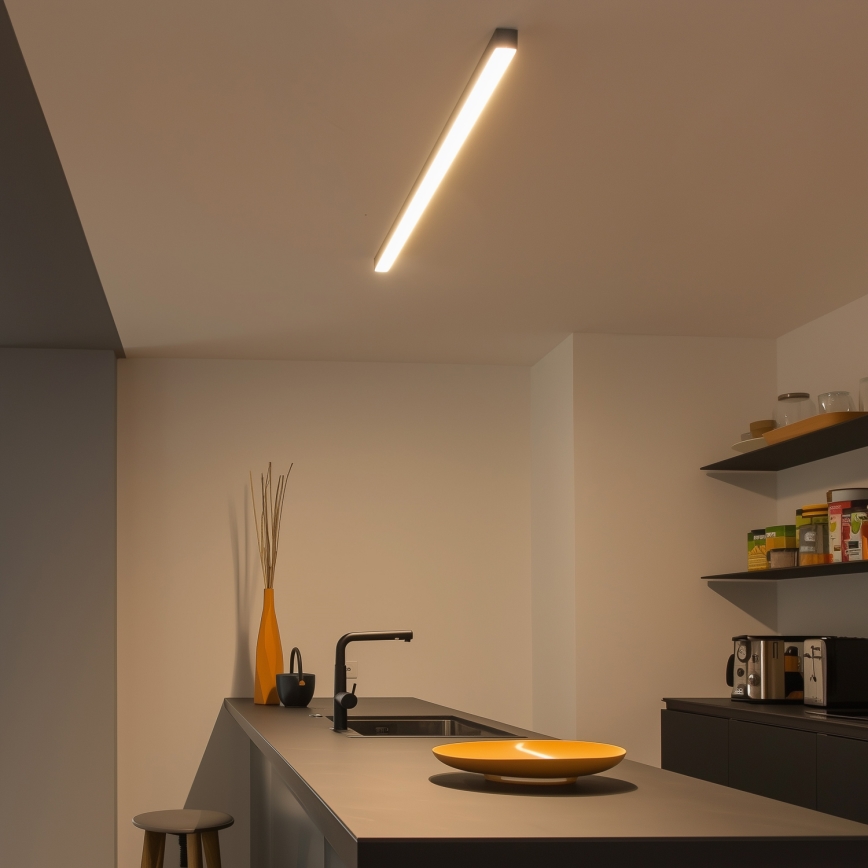 LED-Deckenleuchte ALLDAY BASIC LED/20/30/40W/230V 2700/4000/6000K 120 cm schwarz