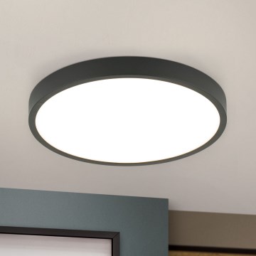 LED-Deckenleuchte BULLY LED/24W/230V d 24 cm schwarz