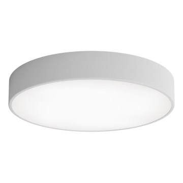 LED-Deckenleuchte CLEO LED/69W/230V 4000K d 50 cm grau