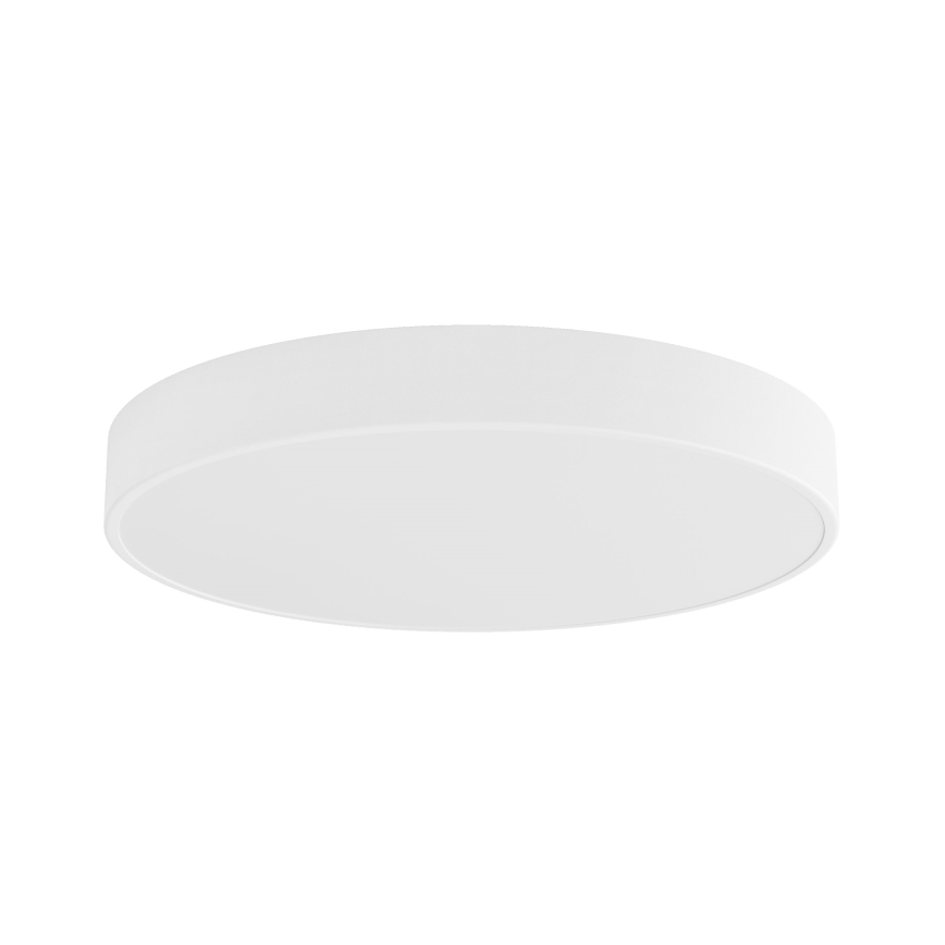LED-Deckenleuchte CLEO LED/69W/230V 4000K d 60 cm weiß