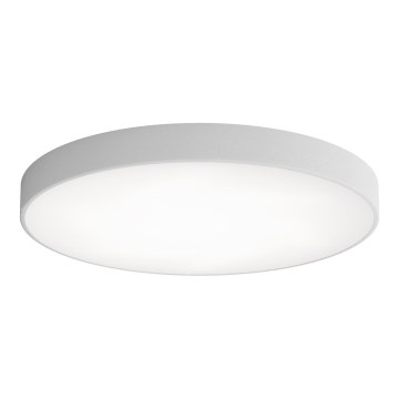 LED Deckenleuchte CLEO LED/96W/230V 3000K Ø 80 cm grau