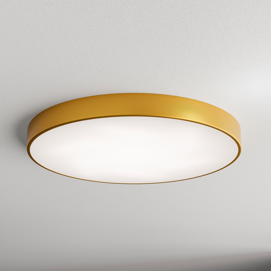 LED Deckenleuchte CLEO LED/96W/230V 4000K Ø 80 cm gold