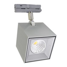 LED Deckenleuchte DAU SPOT MONOFASE LED/10W/230V