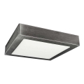 LED Deckenleuchte FENIX LED/12W/230V 3800K 17 cm