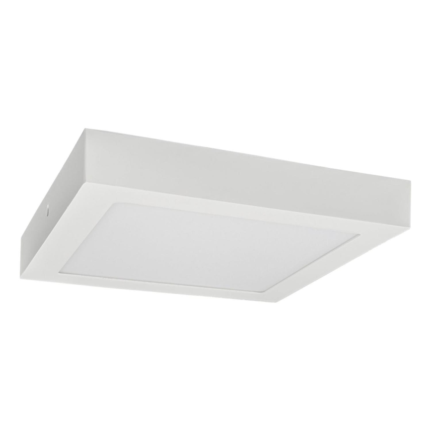 LED-Deckenleuchte FENIX LED/24W/230V 3800K 29,8 cm