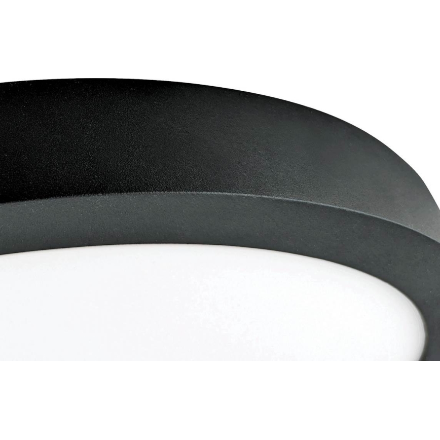 LED Deckenleuchte FENIX LED/32W/230V 3800K