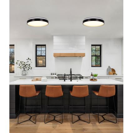 LED-Deckenleuchte FLORIDA LED/18W/230V schwarz