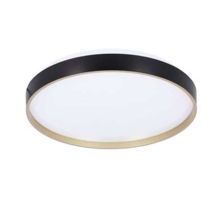 LED-Deckenleuchte FLORIDA LED/18W/230V schwarz
