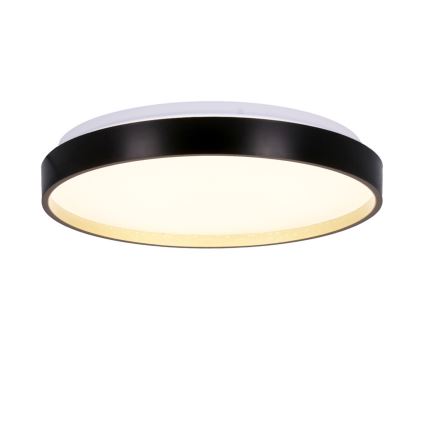 LED-Deckenleuchte FLORIDA LED/18W/230V schwarz