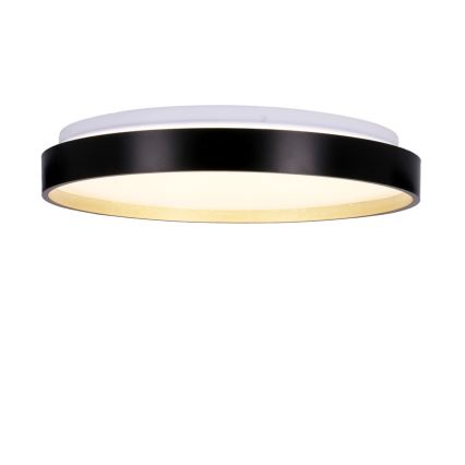 LED-Deckenleuchte FLORIDA LED/18W/230V schwarz