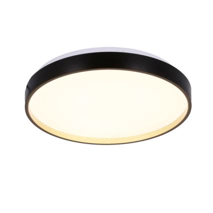 LED-Deckenleuchte FLORIDA LED/18W/230V schwarz