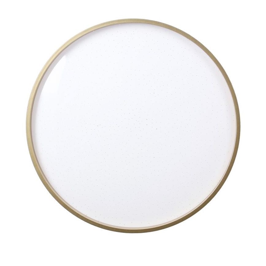 LED-Deckenleuchte FLORIDA LED/18W/230V schwarz